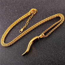 Load image into Gallery viewer, Stainless Steel Cornicello Italian Horn Amulet Pendant Necklace