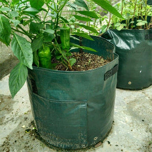 Potato Grow Planter PE Container Bag Vegetables Garden Outdoor