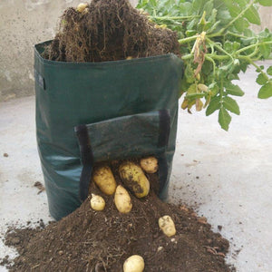 Potato Grow Planter PE Container Bag Vegetables Garden Outdoor