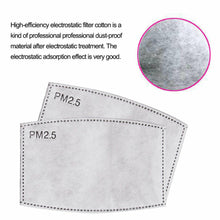 Load image into Gallery viewer, Cotton Cloth insertable PM2.5 Filter Mask