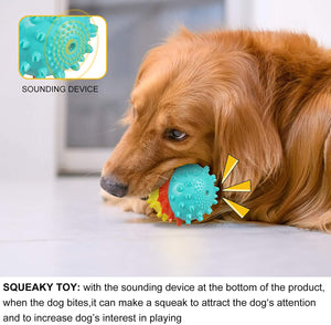 Chew Squeaky Toothbrush Toy Float Ball for Small/Medium/Large Dogs