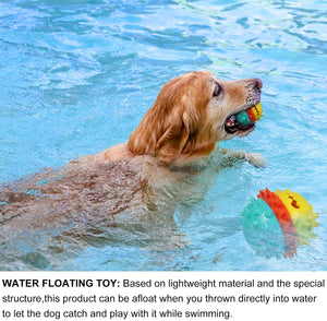 Chew Squeaky Toothbrush Toy Float Ball for Small/Medium/Large Dogs