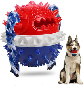 Chew Squeaky Toothbrush Toy Float Ball for Small/Medium/Large Dogs