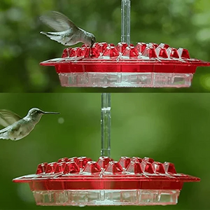 Vianys Sweety Hummingbird Feeder