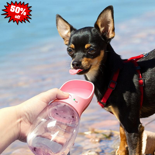 【⏰Limited Time on sale 50% OFF💰】Portable Dog Water Bottle